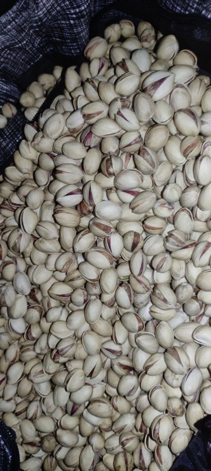 پسته زرآوند